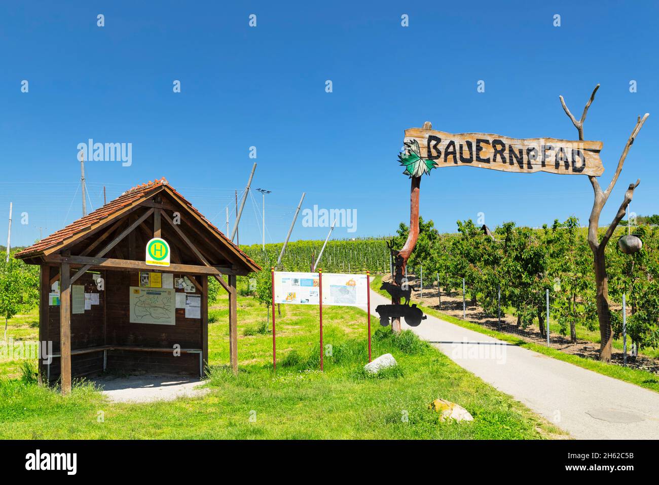 sentiero contadino, percorso didattico frutticolo e vinicolo, kressbronn, lago di costanza, baden-württemberg, germania Foto Stock