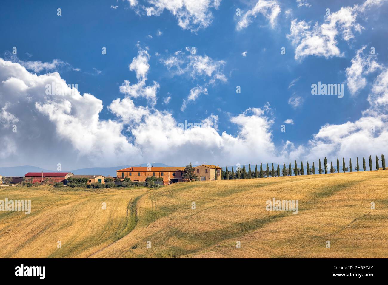 paesaggio rurale toscano,fattoria con cipressi e cielo blu,asciano,crete senesi,provincia di siena,toscana,italia Foto Stock