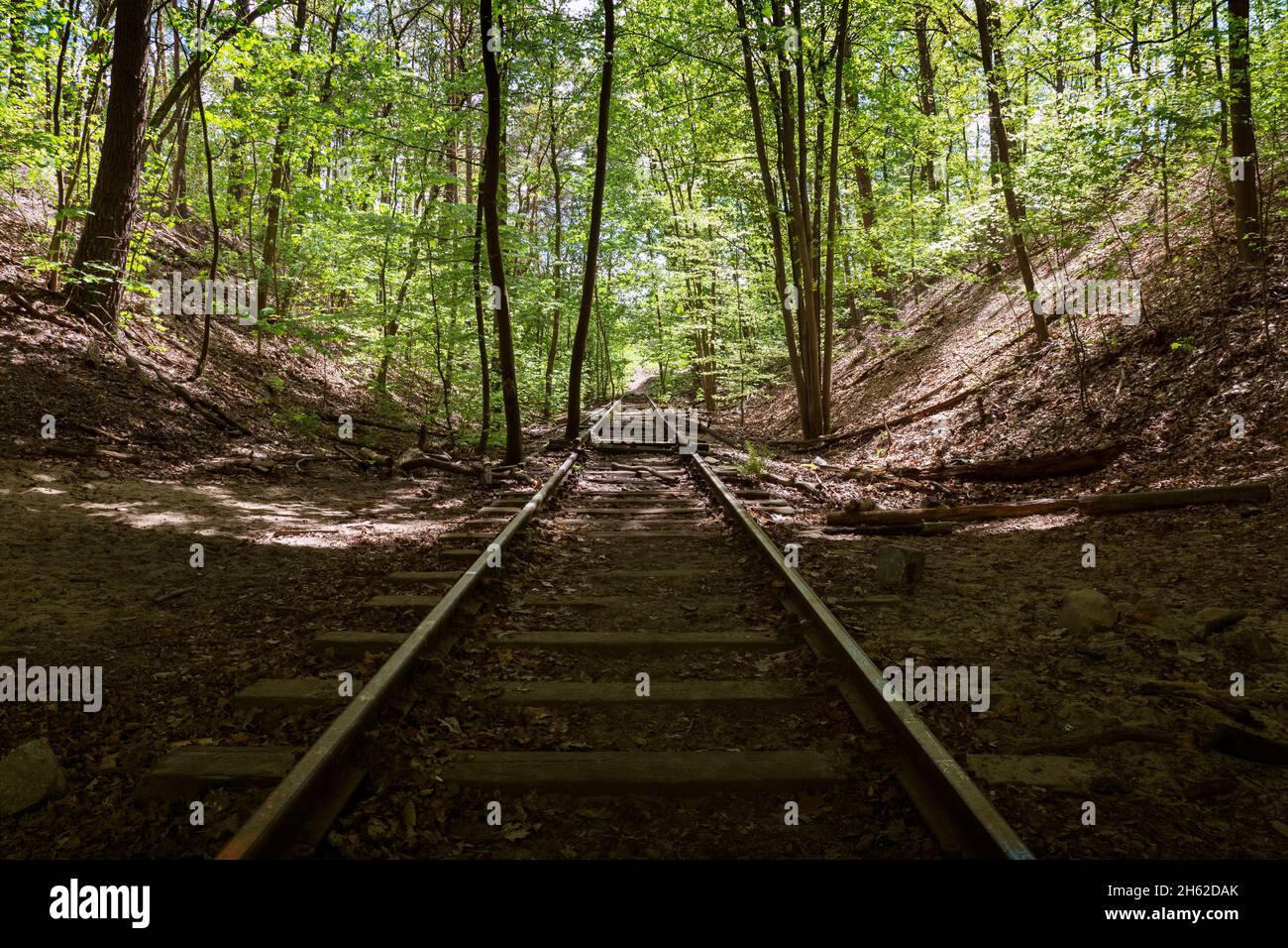 linea ferroviaria disutilizzata nei pressi di berlino e uno dei luoghi di ripresa della serie netflix scuro Foto Stock