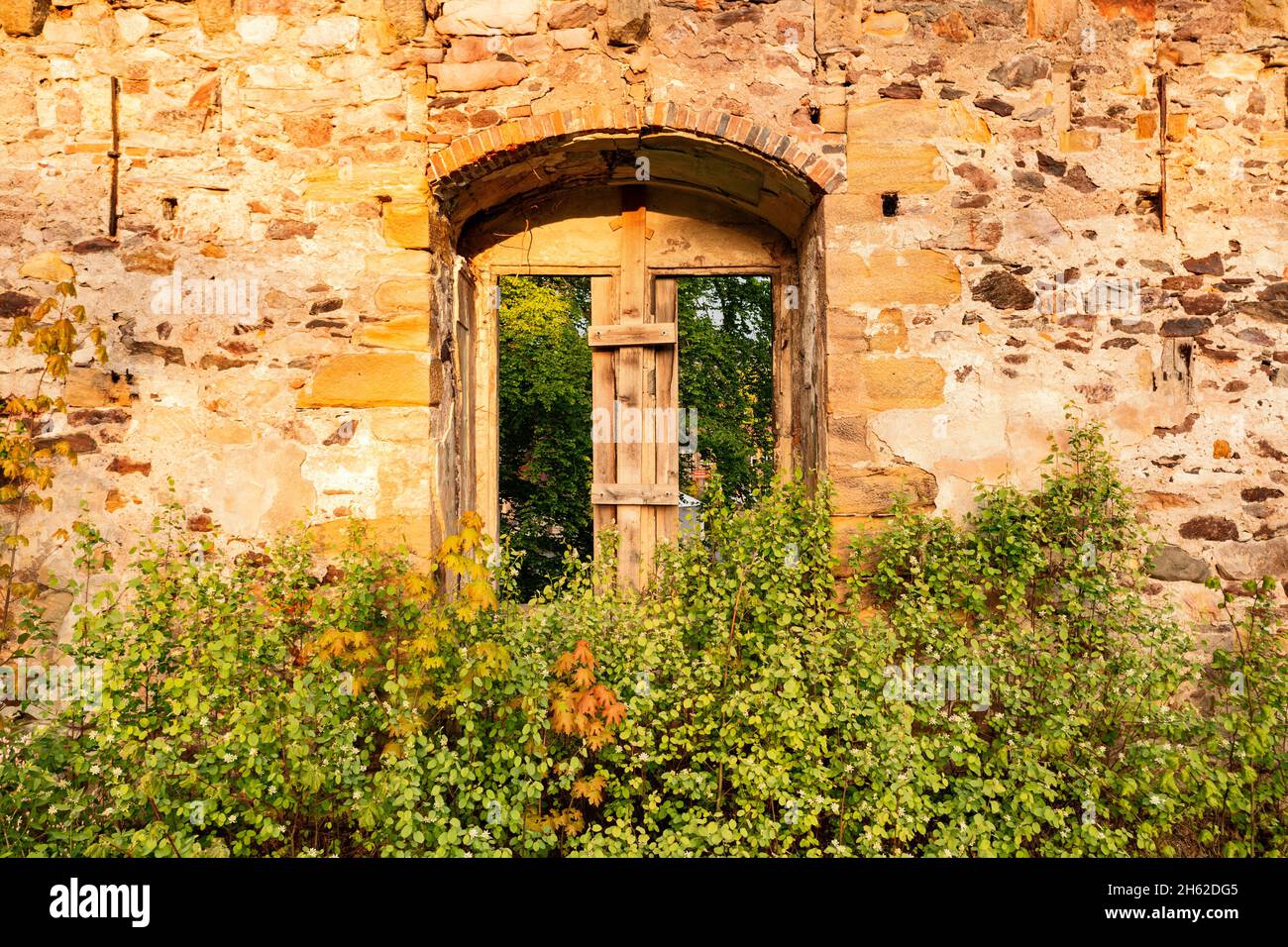 germania, turingia, ilmenau, gehren, rovine del castello, vista attraverso una finestra, luce del mattino Foto Stock
