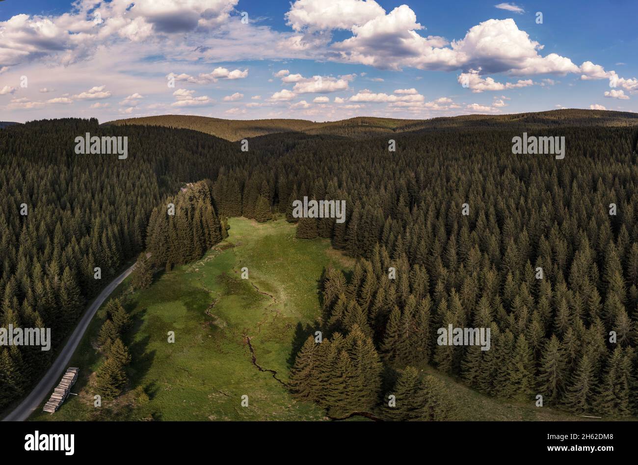 germania,turingia,ilmenau,gehren,compensazione,foresta,montagne,ruscello,zona di rennsteig Foto Stock