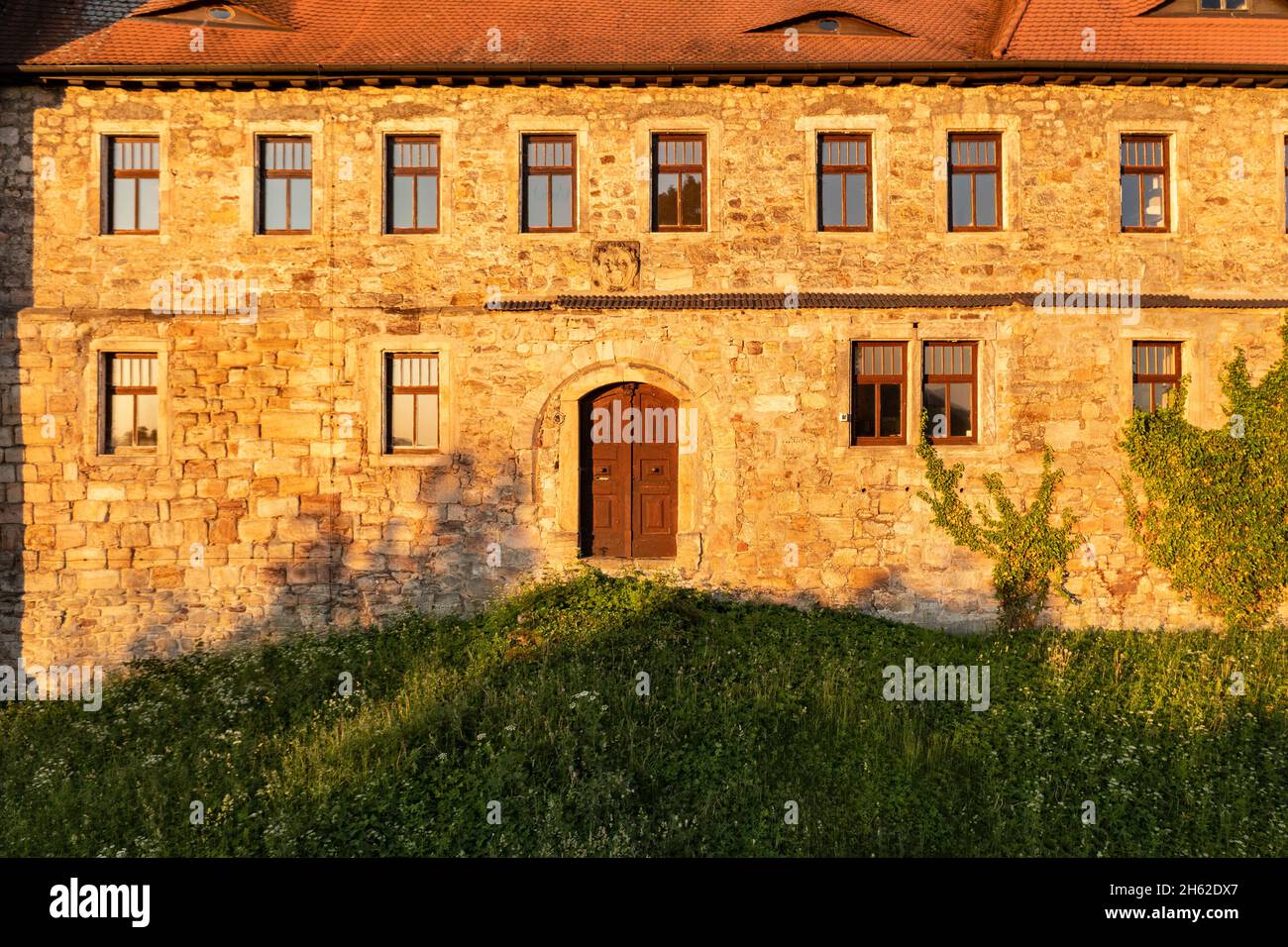 germania,turingia,elgersburg,castello,parete esterna,finestra,porta vecchia,parete,luce del mattino Foto Stock