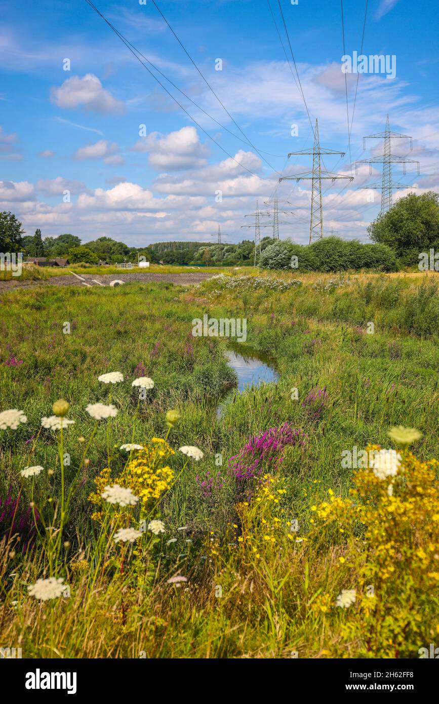 bottrop,north rhine-westphalia,germany - renatured boye, il affluente dell'emscher, è stato riprogettato in un corpo quasi naturale di acqua, protezione contro le alluvioni attraverso nuove aree di allagamento progettato, il boye è ora privo di fognature dopo la costruzione di una fognaria parallela, appartiene al sistema fluviale emscher e quindi parte della conversione emscher, era precedentemente un fognatura aperta, sopra terra, fognatura mista con acque superficiali e fognature. Foto Stock