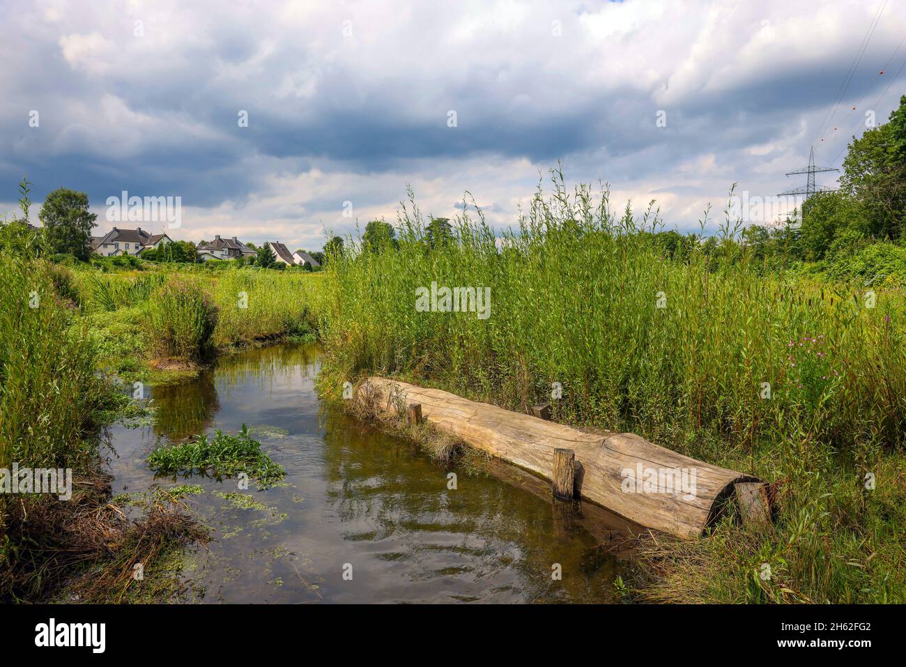 bottrop,nord reno-westfalia,germania - il boye renatured, il affluente dell'emscher, è stato trasformato in un corpo quasi naturale di acqua, protezione contro le alluvioni per i residenti attraverso nuove aree di alluvione, compreso legno morto, il boye è ora libero di fognature dopo la costruzione di una fogna parallela al sistema fluviale dell'emscher e. così alla conversione di emscher, vi era precedentemente un canale aperto, sopra-macinato di acqua di scarico, canale misto di acqua con acqua di superficie e di acqua di scarico. Foto Stock