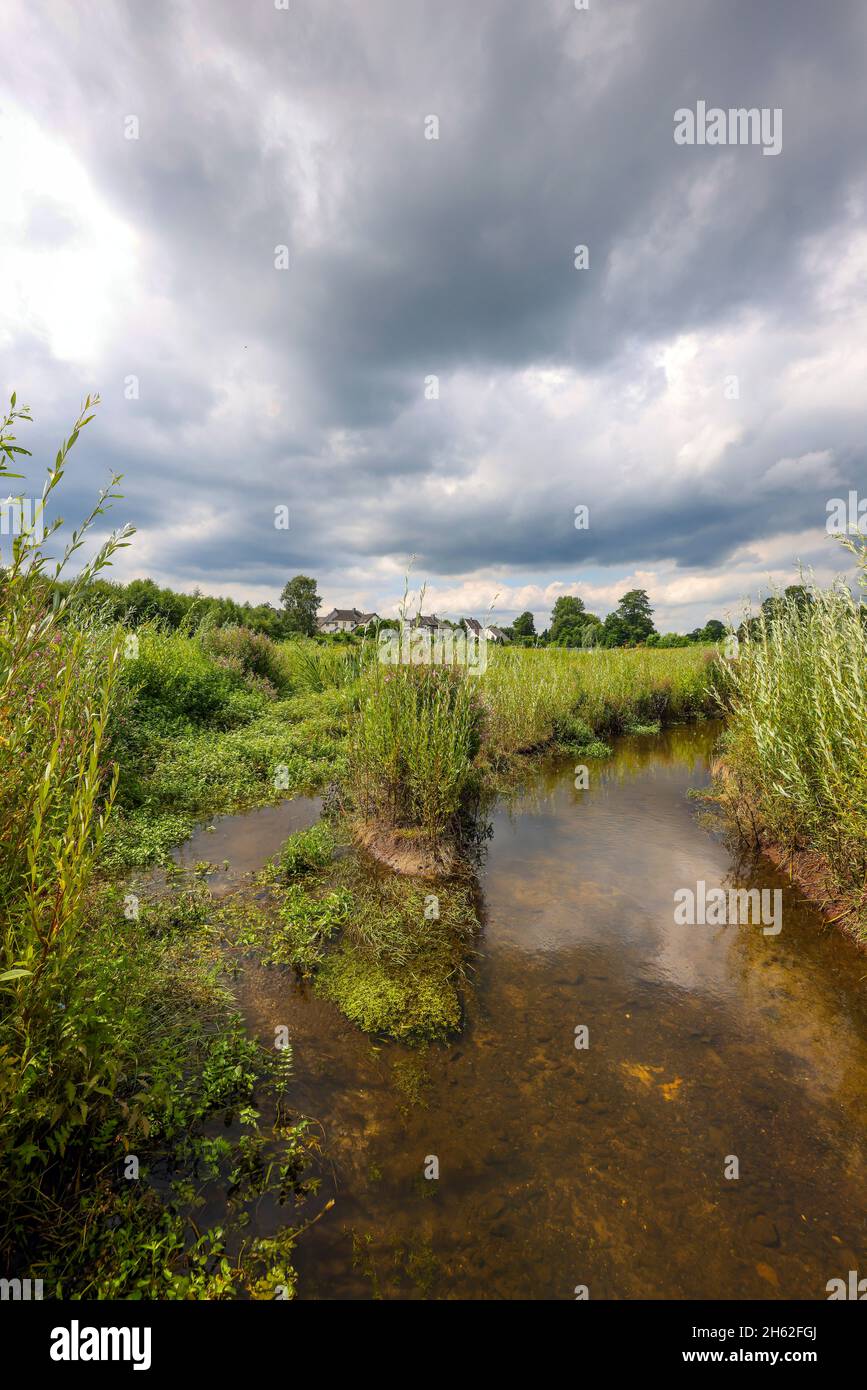 bottrop,north rhine-westphalia,germany - renatured boye, il affluente dell'emscher, è stato trasformato in un corpo quasi naturale di acqua, protezione delle alluvioni per i residenti attraverso nuove aree di alluvione progettato, il boye è ora senza fognature dopo la costruzione di una fogna parallela, appartiene al sistema emscher e fiume così per la conversione emscher, vi era precedentemente una fognatura aperta, sopra il suolo, acqua miscelata con acque superficiali e fognature. Foto Stock