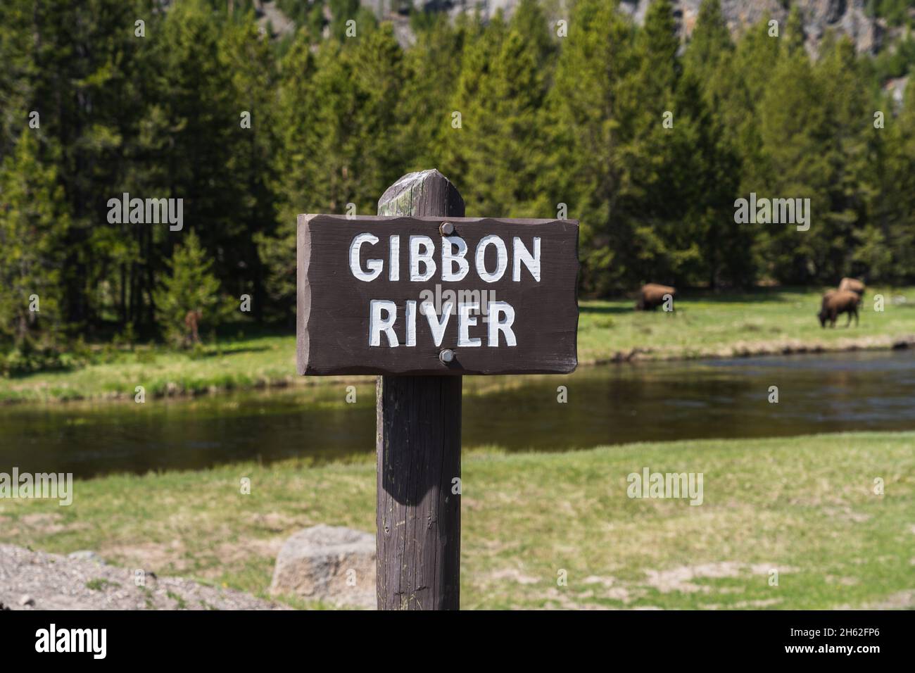 Un cartello per il fiume Gibbon a Yellowstone, con i bisonti che pascolano in lontananza dal fiume Foto Stock