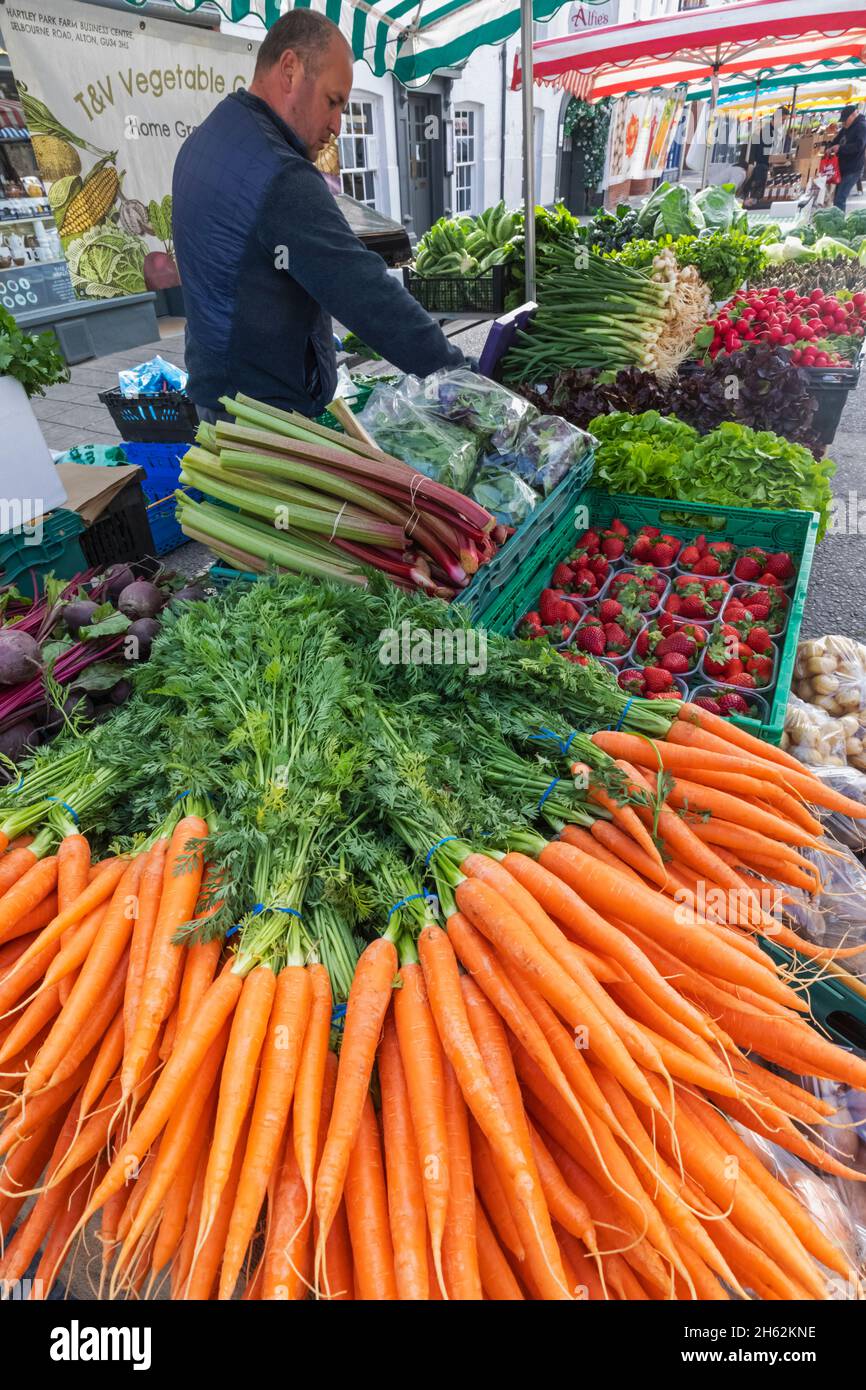 inghilterra,hampshire,petersfield,mercato agricolo settimanale,esposizione di carote fresche Foto Stock