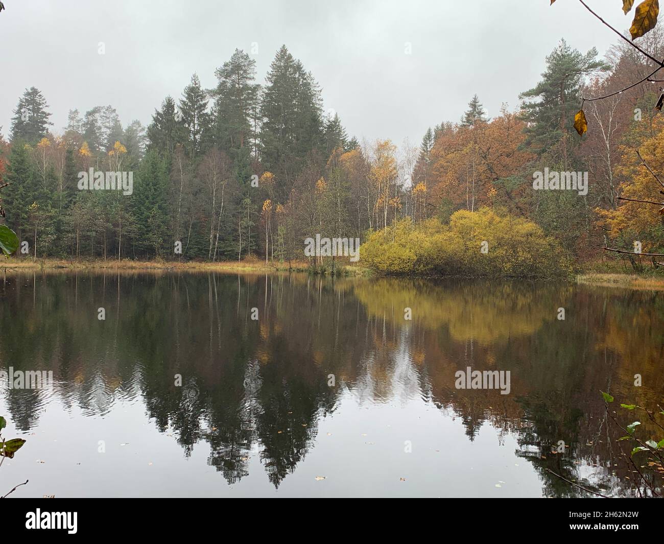 Spießweiher bei Eppenbrunn (Pfalz) im Herbst Foto Stock