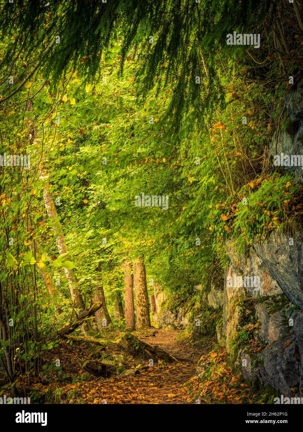 sentiero lungo il fiume iseltwald Foto Stock