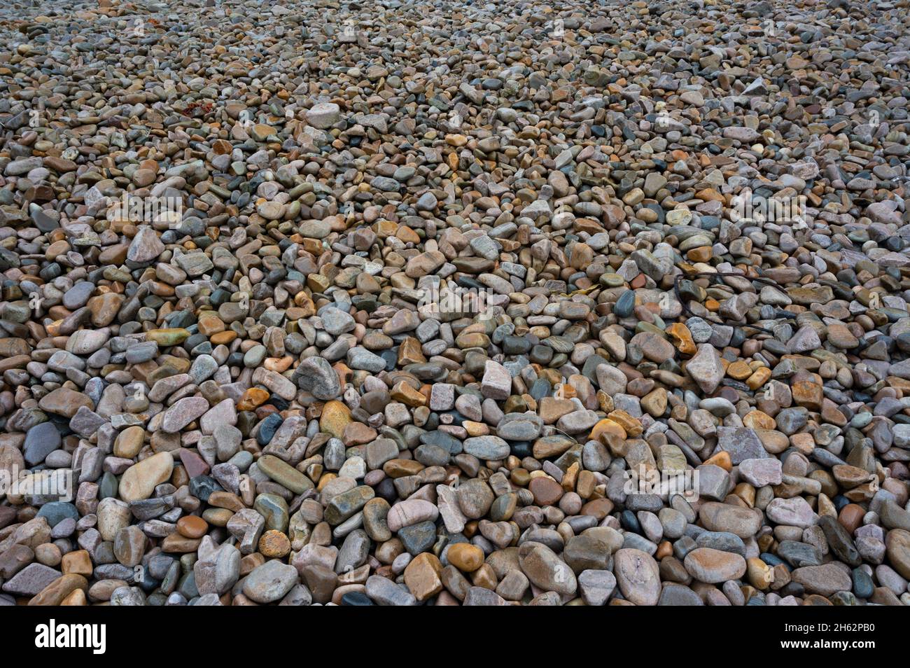 Riassunto di grandi ciottoli multicolore e testurizzati su una spiaggia Foto Stock