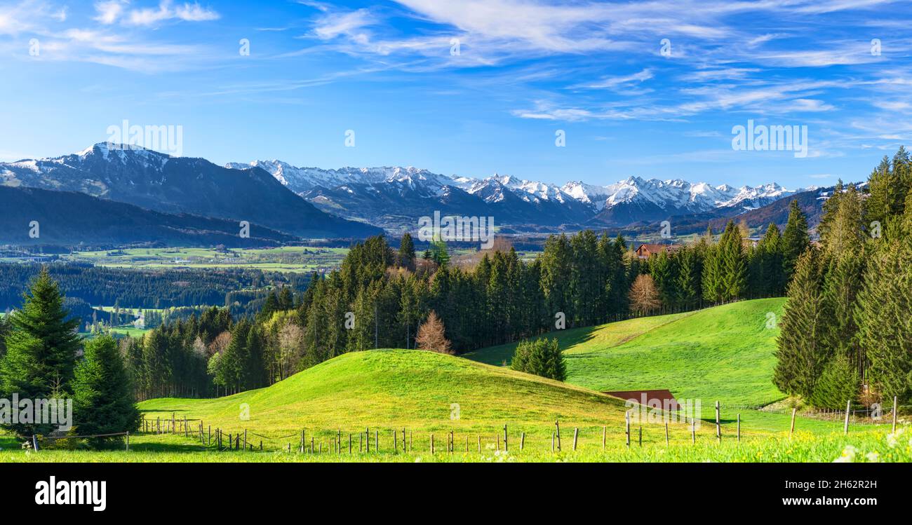 primavera nel allgäu. vista sull'illertal alle alpi allgäu con il grünten. prati, foreste e montagne innevate sotto un cielo blu. grande formato panorama. baviera, germania, europa Foto Stock