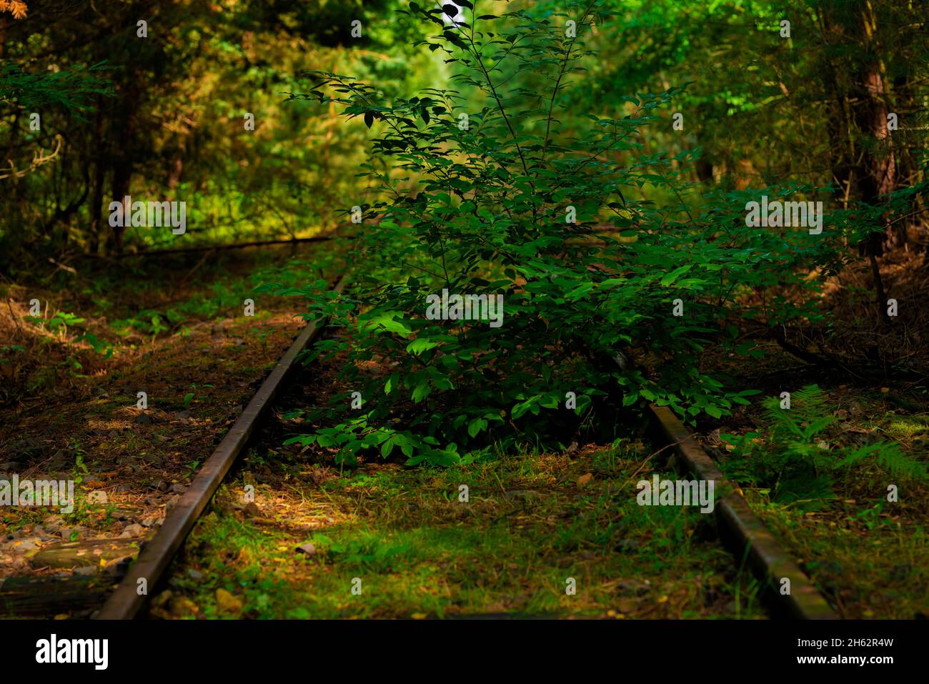 vecchio binario ferroviario, letto di binario in eccesso Foto Stock