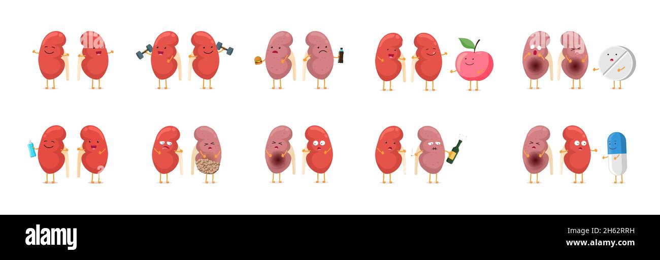 Sorridendo forte sano e triste malato malsano rene carino caratteri set. Raccolta di icone anatomiche interne dell'organo del sistema genitourinario umano medico. Illustrazione eps isolato dal vettore Illustrazione Vettoriale