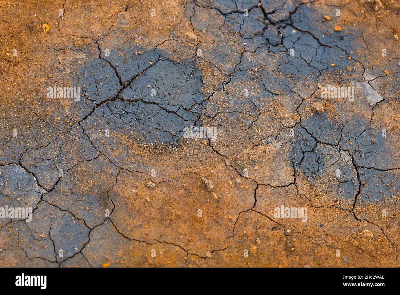 colori e crepe sulla terra su un fango nella zona solfatar di hverarönd, chiamata anche regione námaskarã°,námafjall,mã½vatn nell'islanda settentrionale Foto Stock