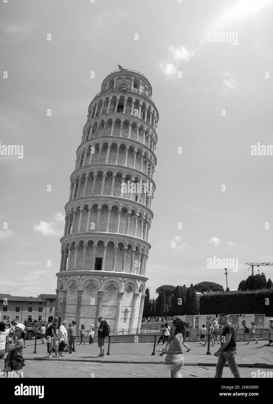 la torre principale di pisa nella piazza dei miracoli (piazza dei miracoli) in toscana Foto Stock