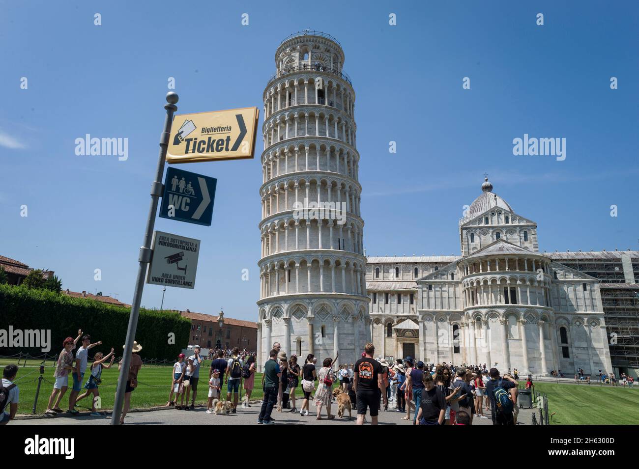 la torre principale di pisa nella piazza dei miracoli (piazza dei miracoli) in toscana Foto Stock