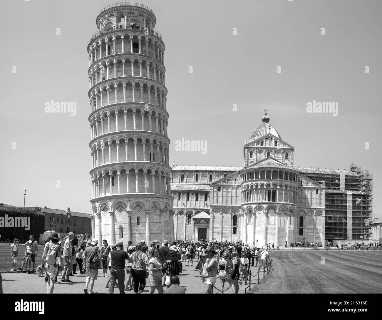 la torre principale di pisa nella piazza dei miracoli (piazza dei miracoli) in toscana Foto Stock