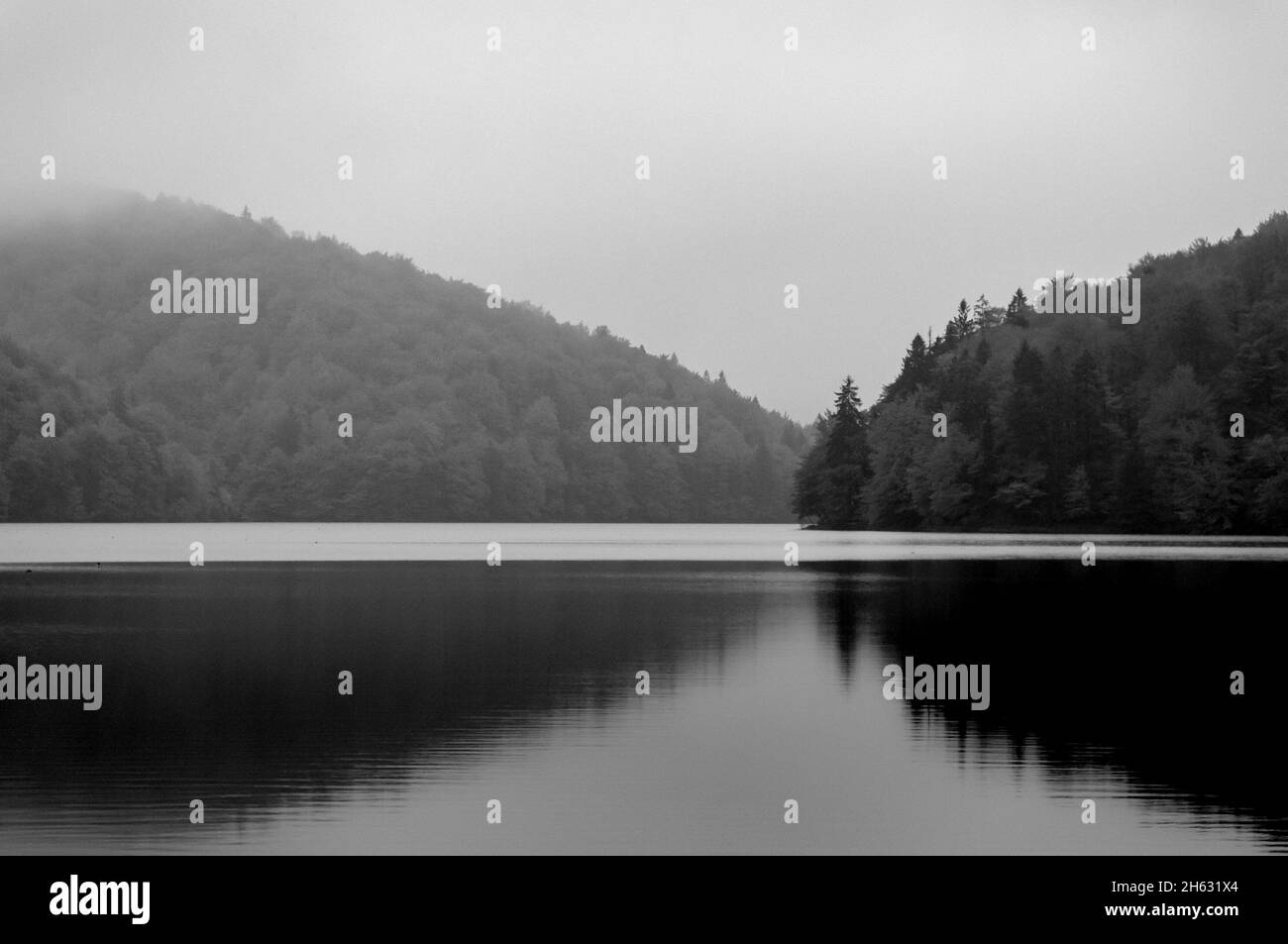 un lago in bianco e nero - solo una natura mozzafiato nel parco nazionale dei laghi di plitvice in croazia Foto Stock