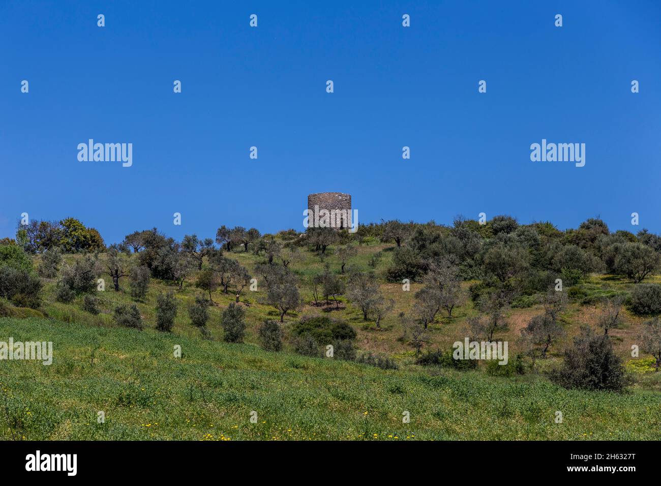 una collina verde con un castello in cima. Foto Stock