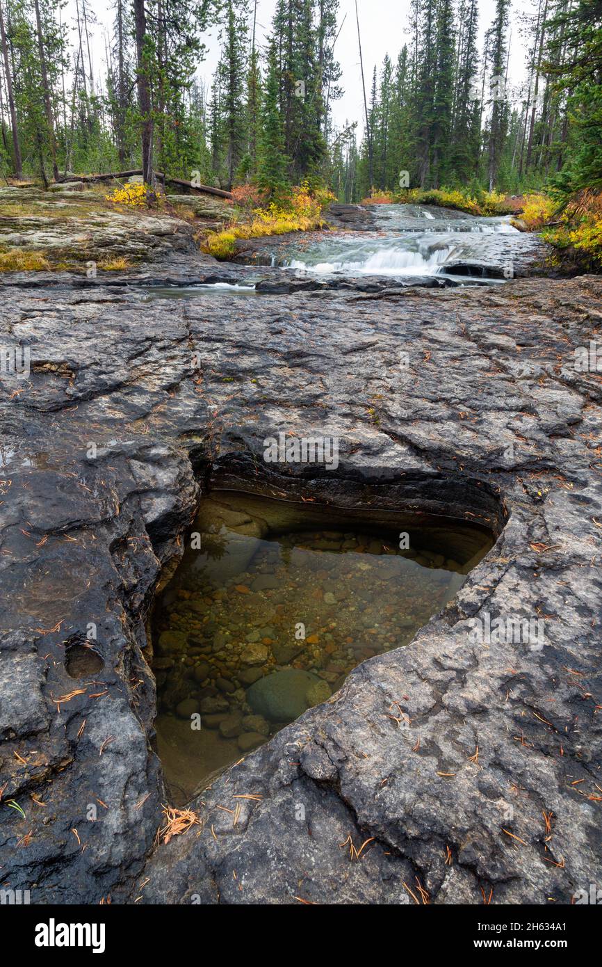 Una piccola piscina in una tasca d'acqua erose lungo Cascade Creek come parte delle cascate del torrente nelle vicinanze. Parco Nazionale di Yellowstone, Wyoming Foto Stock
