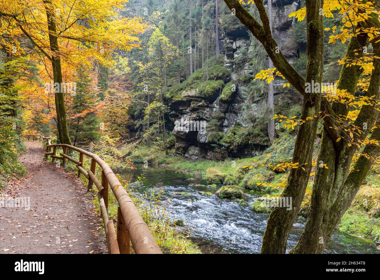 Edmundsklamm Elbsandsteingebirge böhmische Schweiz Foto Stock