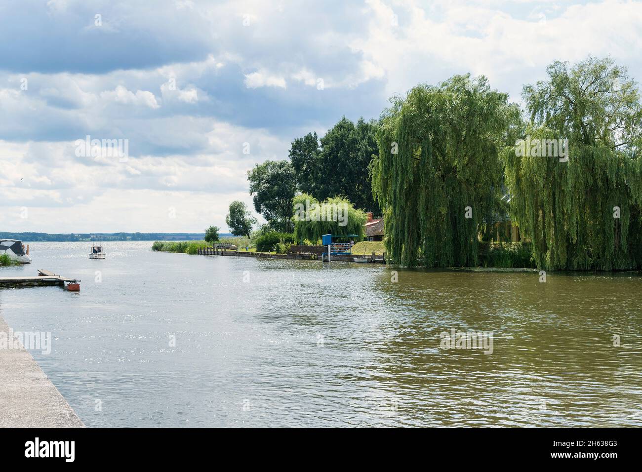 pomerania occidentale, parco naturale con paesaggio fluviale di peenetal, kummerower see, peene driveway Foto Stock