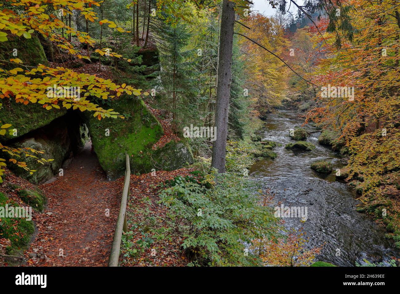 Edmundsklamm Elbsandsteingebirge böhmische Schweiz Foto Stock