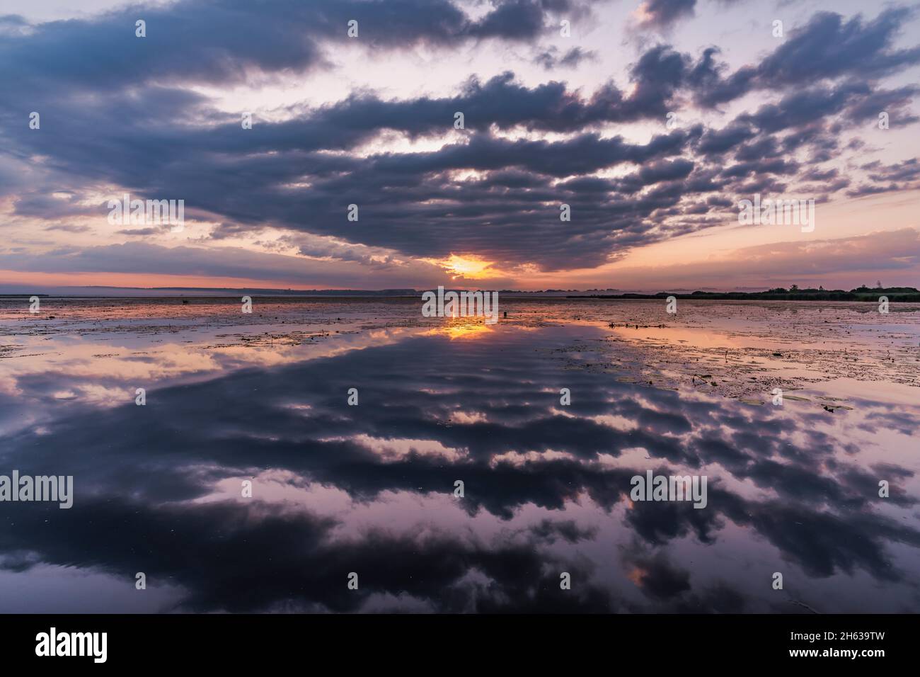 alba a federsee, bad buchau, le nuvole si riflettono nell'acqua Foto Stock