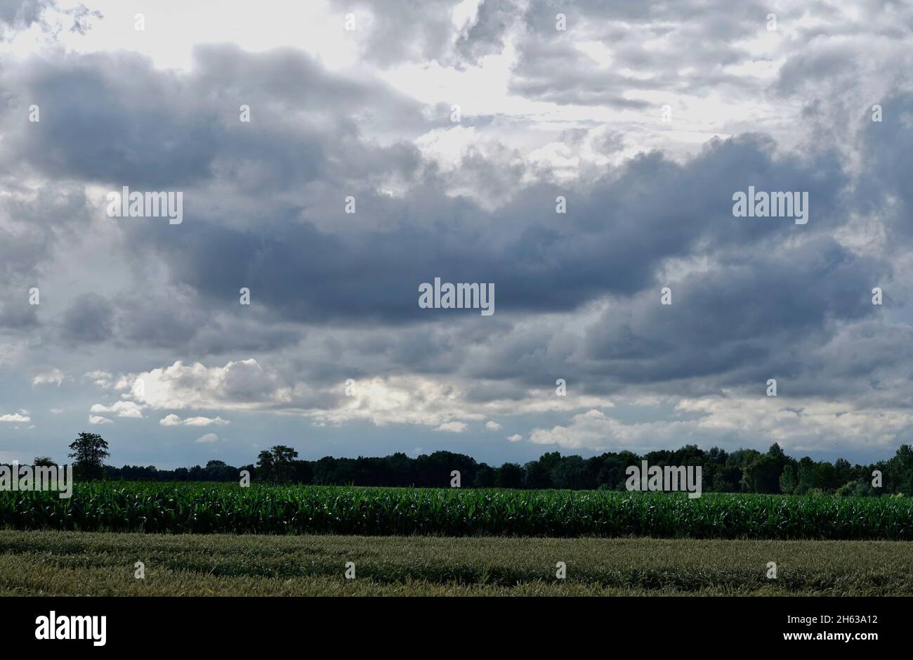 germania,baviera,alta baviera,distretto di altötting,paesaggio,campi,tempesta nube Foto Stock