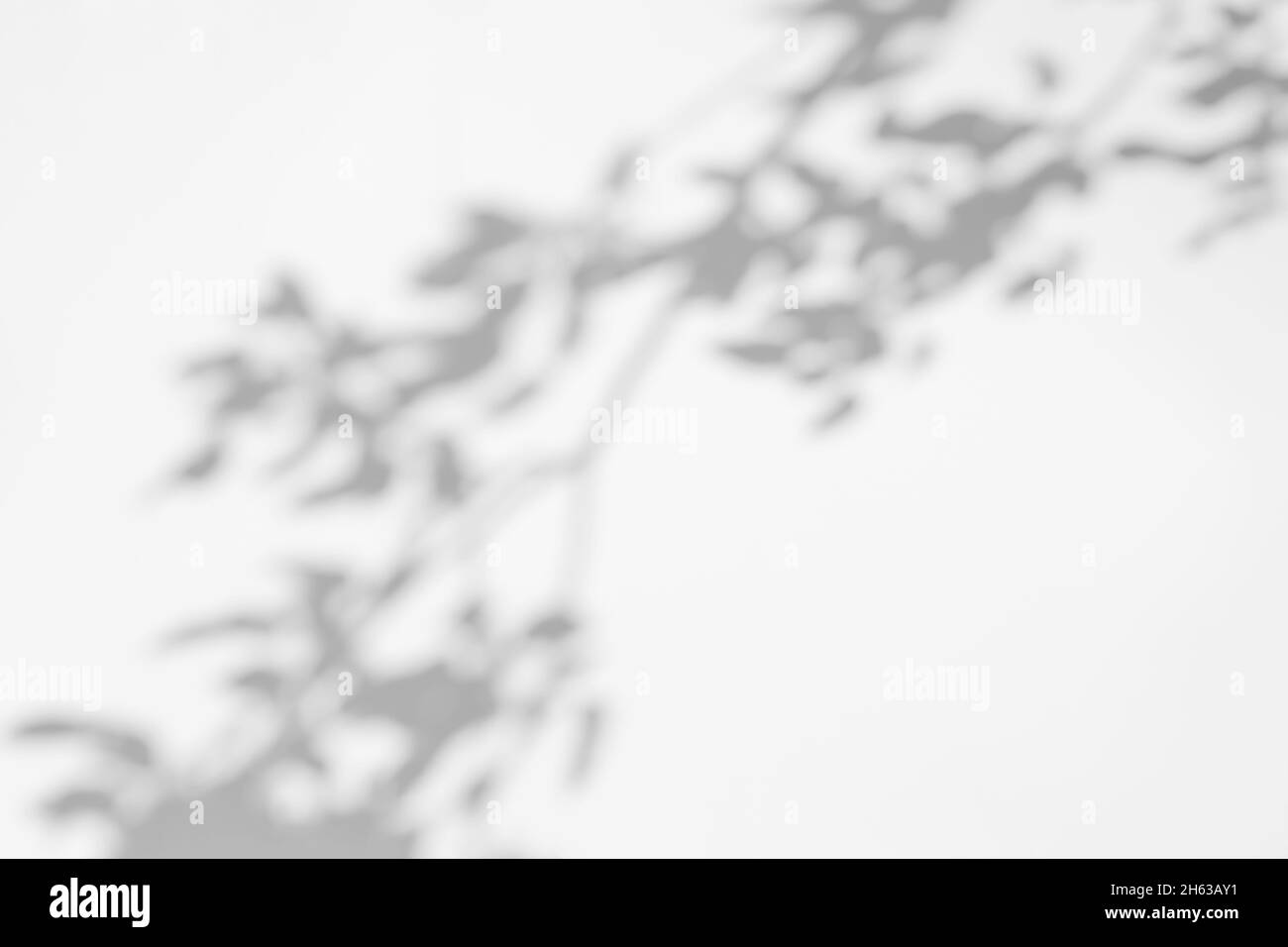Effetti di sovrapposizione delle ombre per il branding. Mockup. Scene di illuminazione naturale. Ombre grigie di rami di albero su una parete bianca. Foto Stock
