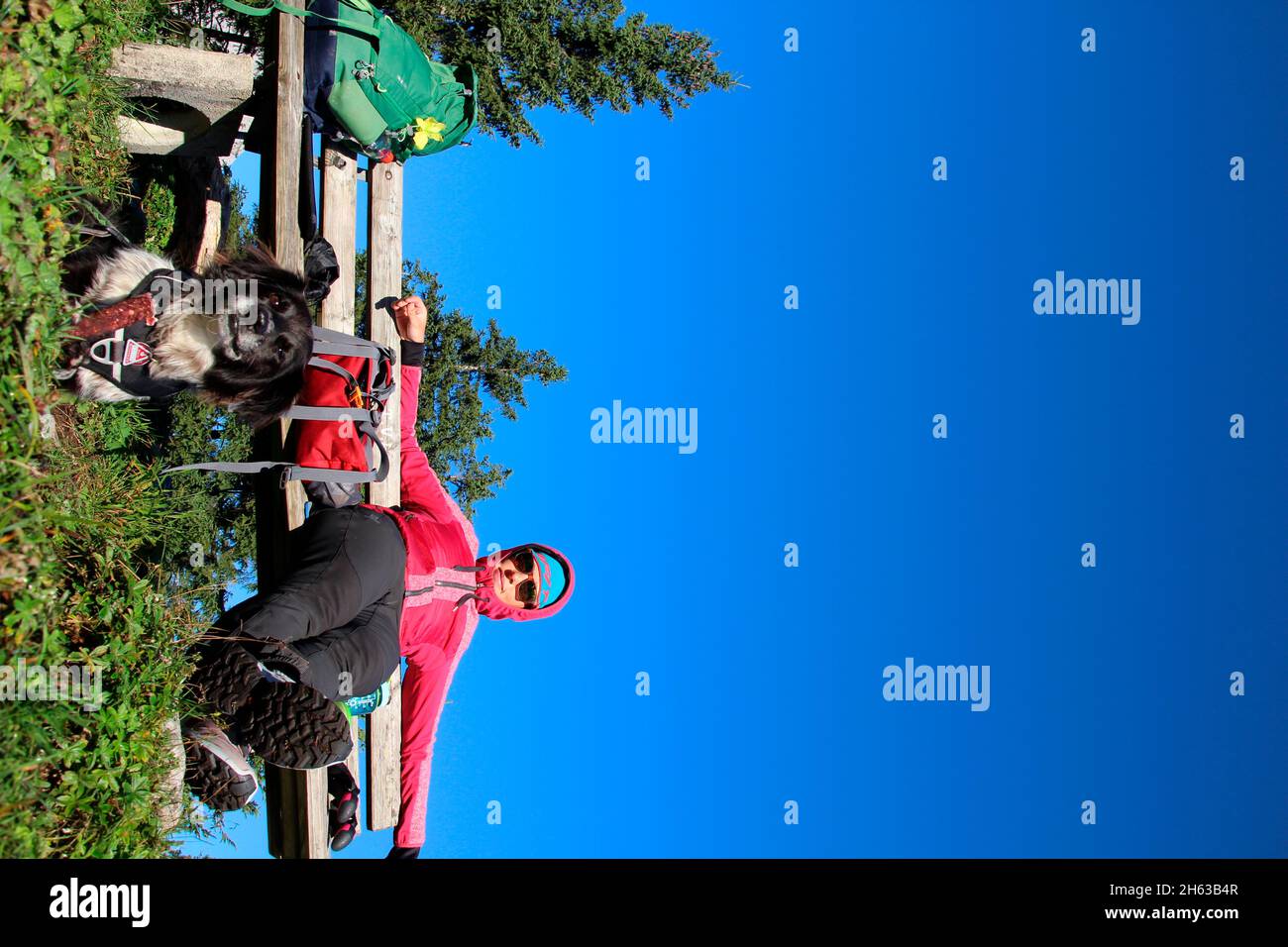 al mattino rugiada in montagna ci si sposta, mattina escursione al grünkopf (1587 m), donna con occhiali da sole, riposo su una panca, zaino, cane in primo piano, europa, germania, baviera, alta baviera, werdenfelser terra, valle isar, mittenwald Foto Stock
