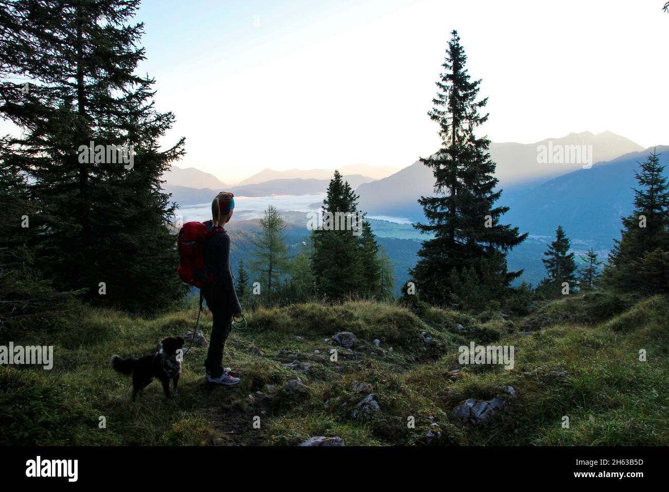 nella rugiada di mattina presto ci spostiamo alle montagne, escursione di mattina al grünkopf (1587 m), donna con il cane guarda nella valle, mare di nuvole, nebbia valle, europa, germania, baviera, alta baviera, werdenfelser terra, valle isar, mittenwald Foto Stock