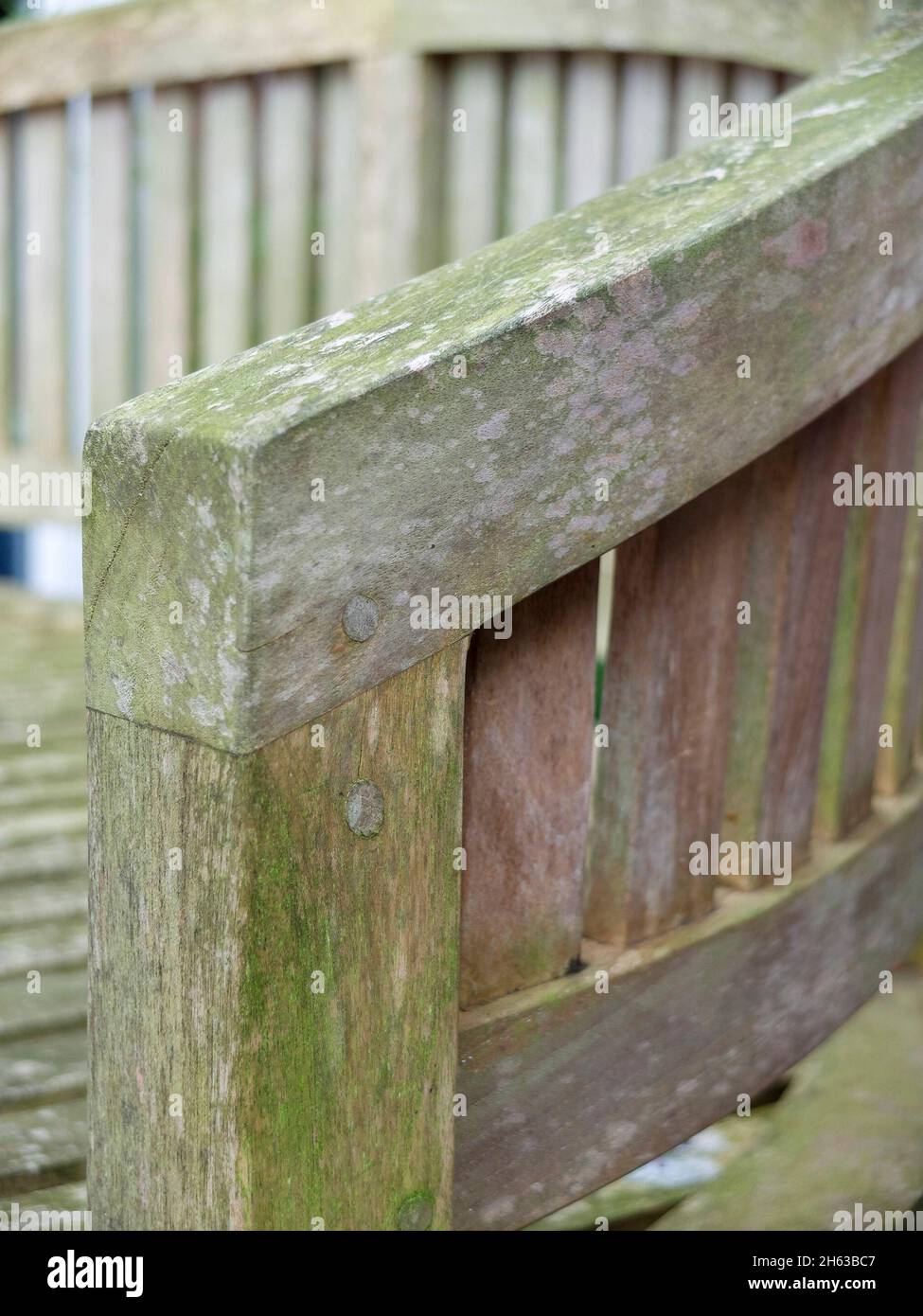 pulire i mobili da giardino dopo l'inverno; legno di teak Foto Stock