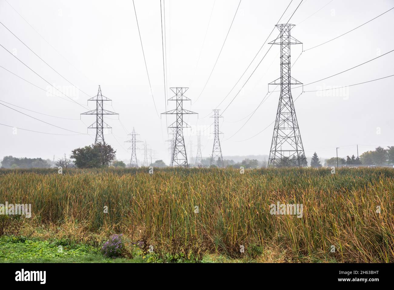 Piloni elettrici ad alta tensione in autunno con nebbia Foto Stock