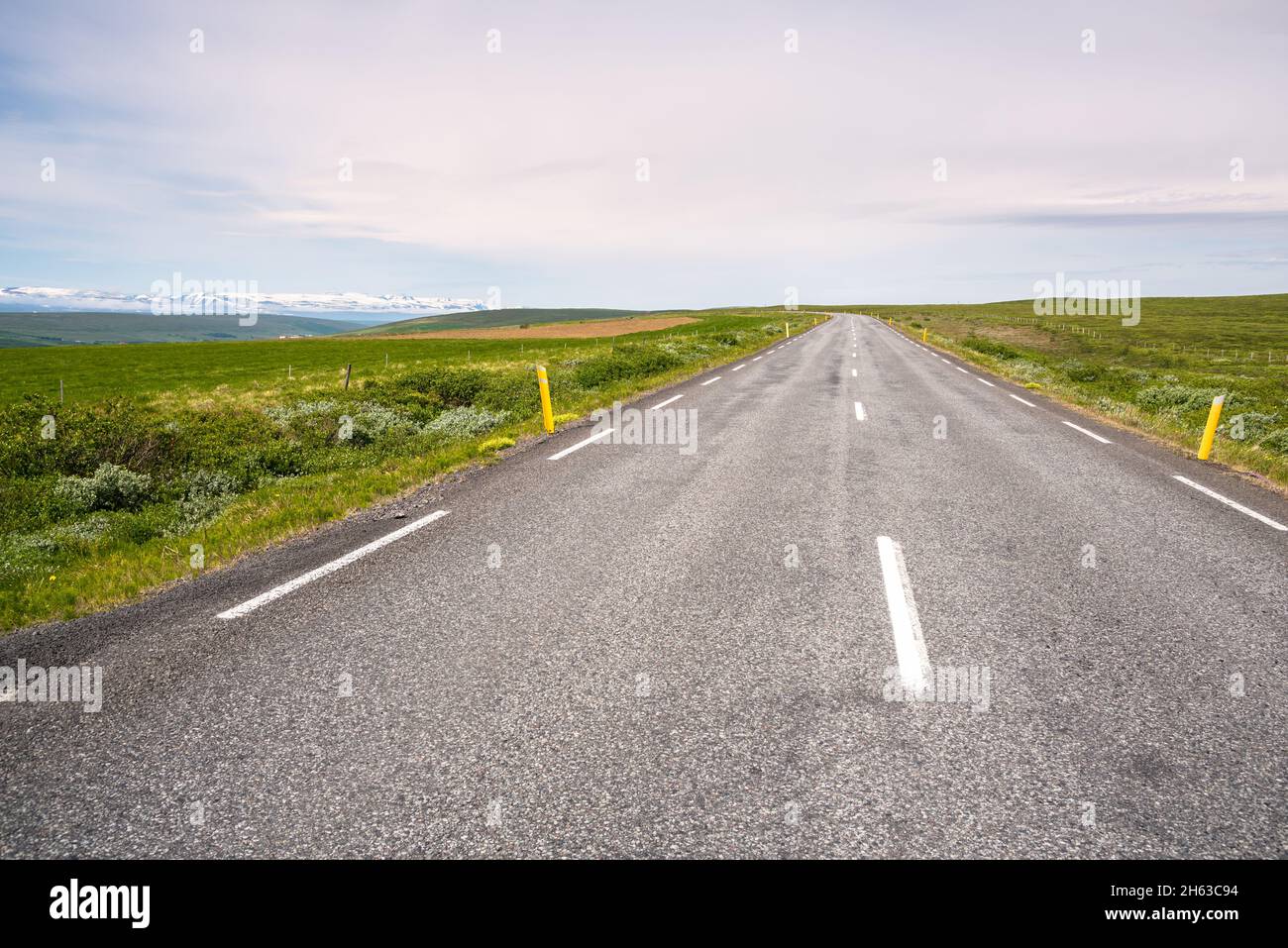 Strada deserta attraverso la campagna in una nuvolosa giornata estiva Foto Stock