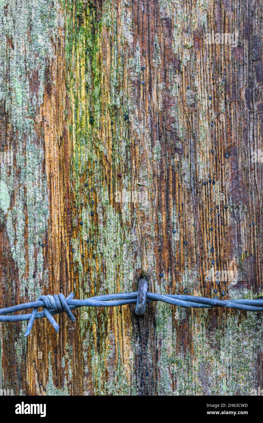 superficie in legno intemperie, immagine di sfondo Foto Stock