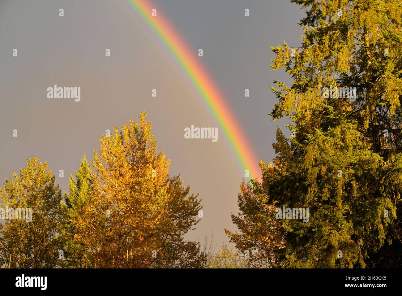 Bellissimo arcobaleno Foto Stock