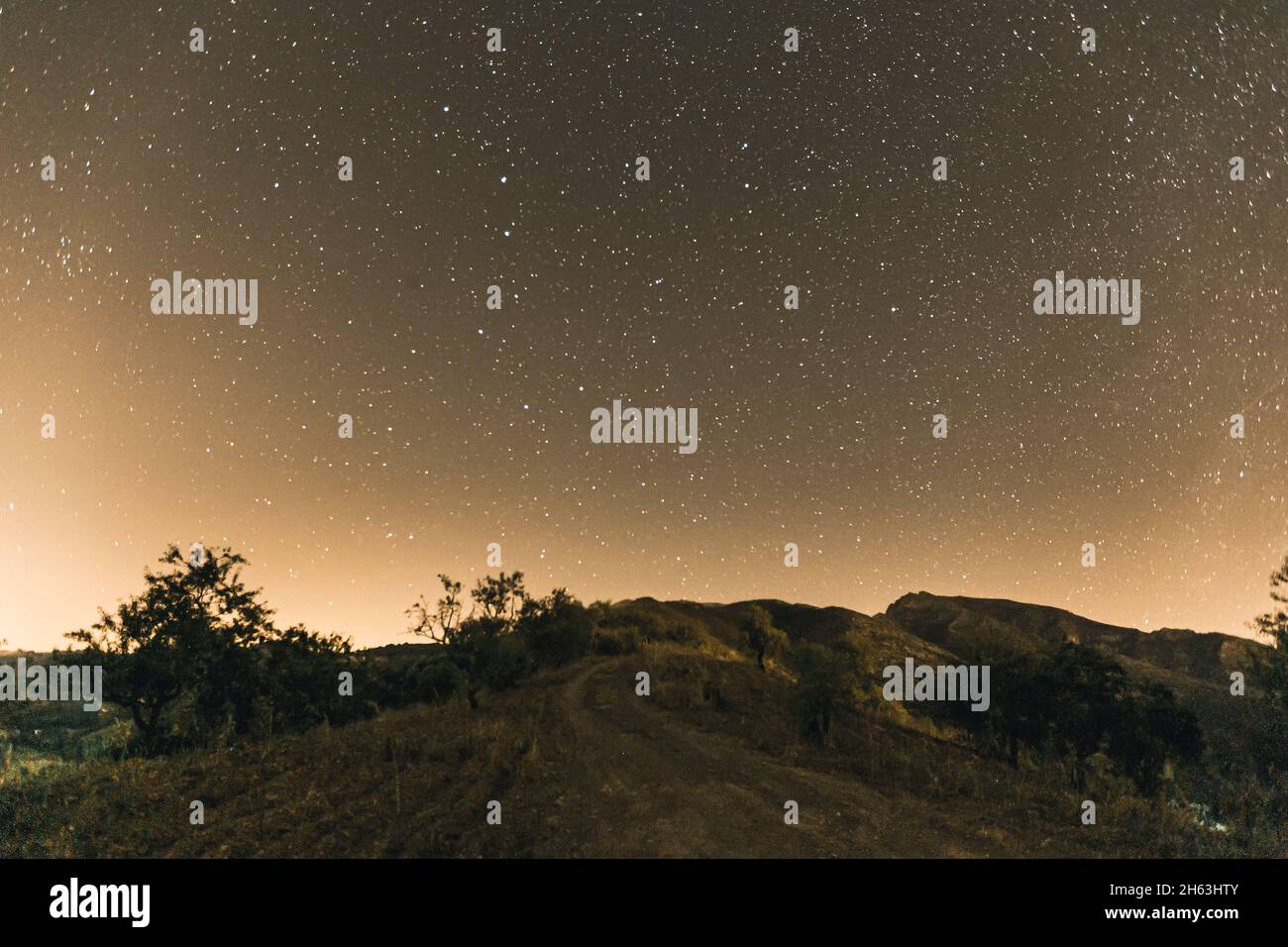 di notte nel parco nazionale della sierra de las nieves, andalusia, spagna Foto Stock