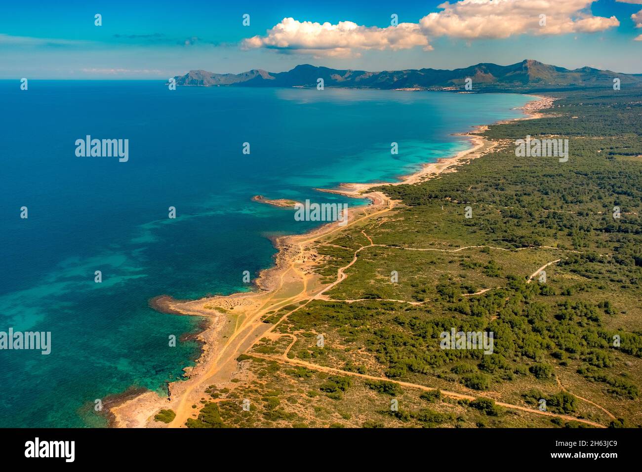 vista aerea, spiaggia sabbiosa di can picafort, illes balears, mallorca, isole baleari, isole baleari, baleares, spagna Foto Stock