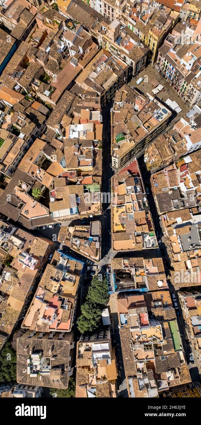 vista aerea, tetti di zona residenziale con casa in ferro, carrer de colom, palma, mallorca, isole baleari, spagna Foto Stock