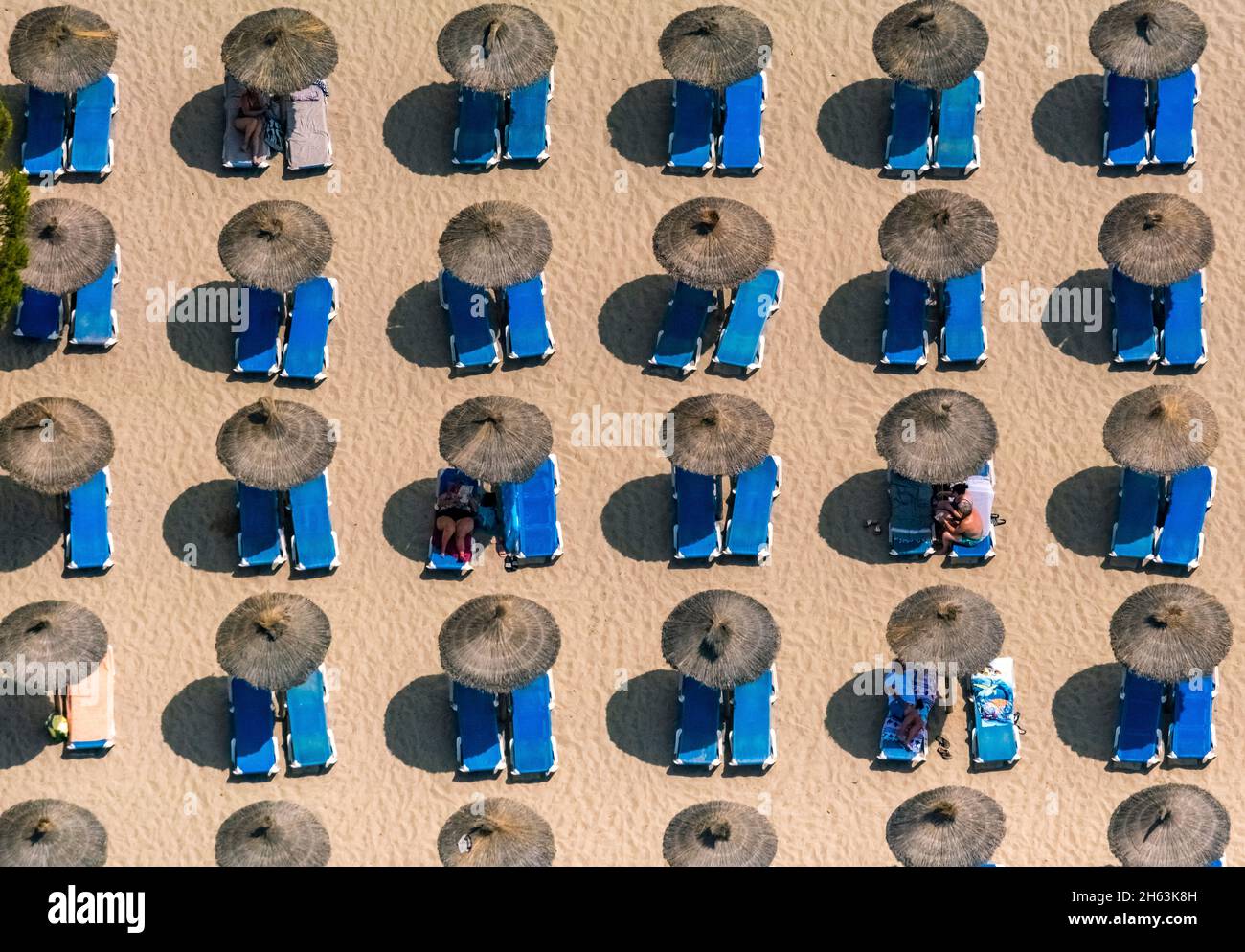 vista aerea, ombrelloni di paglia con sedie a sdraio a platja de santa ponza,calvià,mallorca,isole baleari,spagna Foto Stock