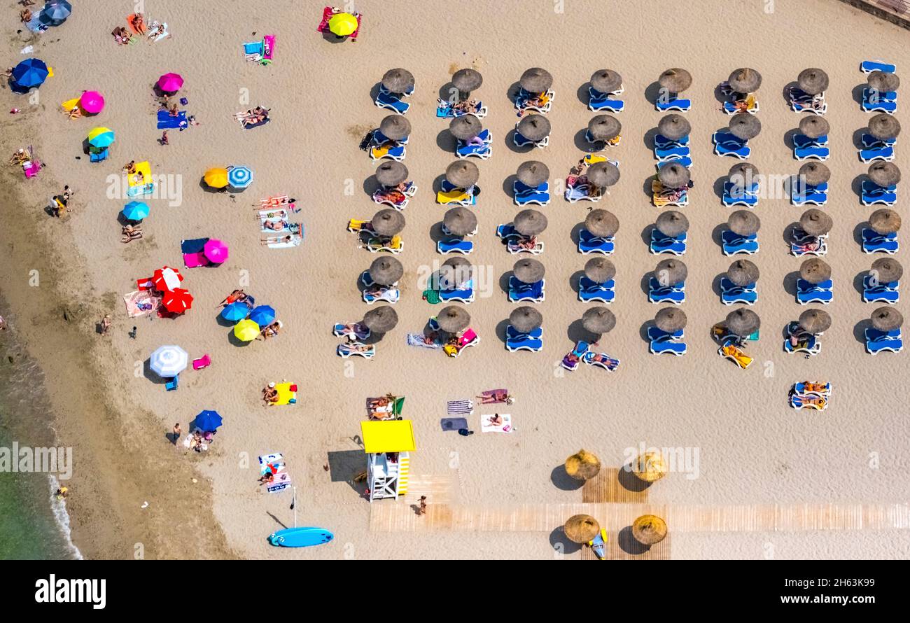 vista aerea, prendere il sole e fare il bagno sulla spiaggia di sabbia platja de santa pona, santa pona, calvià, mallorca, isole baleari, spagna Foto Stock