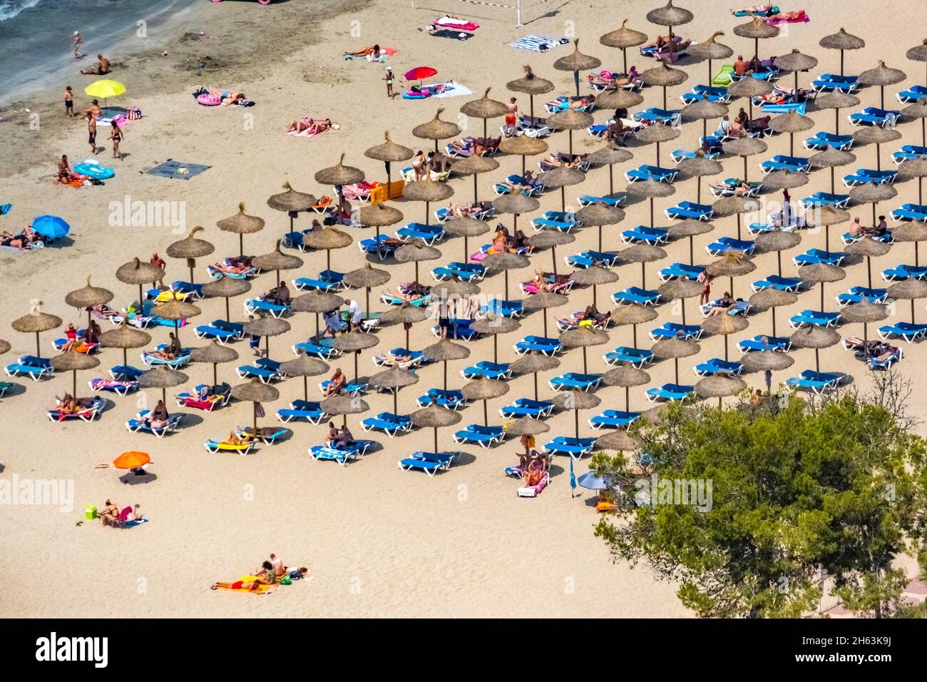 vista aerea, prendere il sole e fare il bagno sulla spiaggia di sabbia platja de santa pona, santa pona, calvià, mallorca, isole baleari, spagna Foto Stock