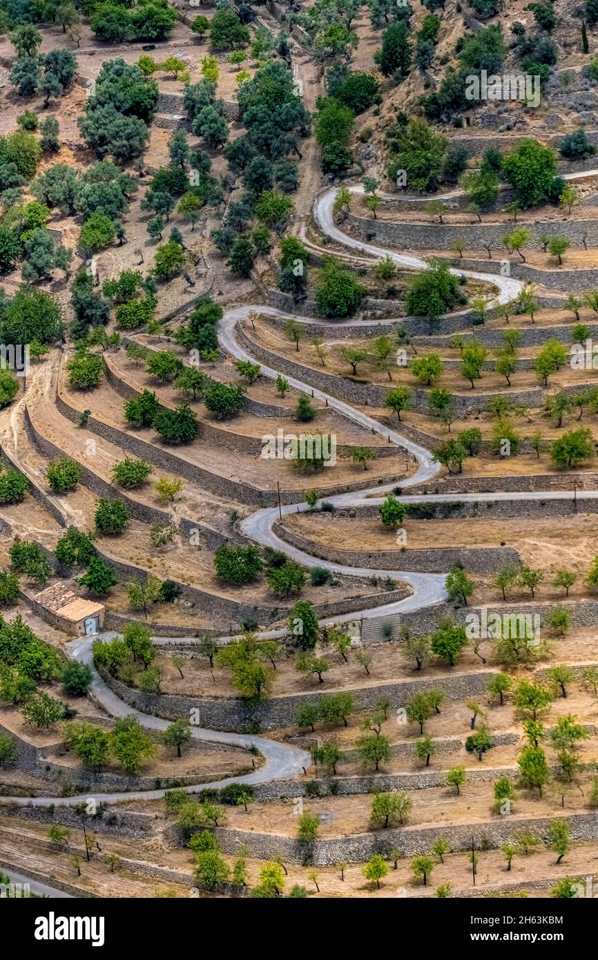 vista aerea, serpentine in terrazzamento paesaggio sulla montagna, bunyola, maiorca, isole baleari, spagna Foto Stock