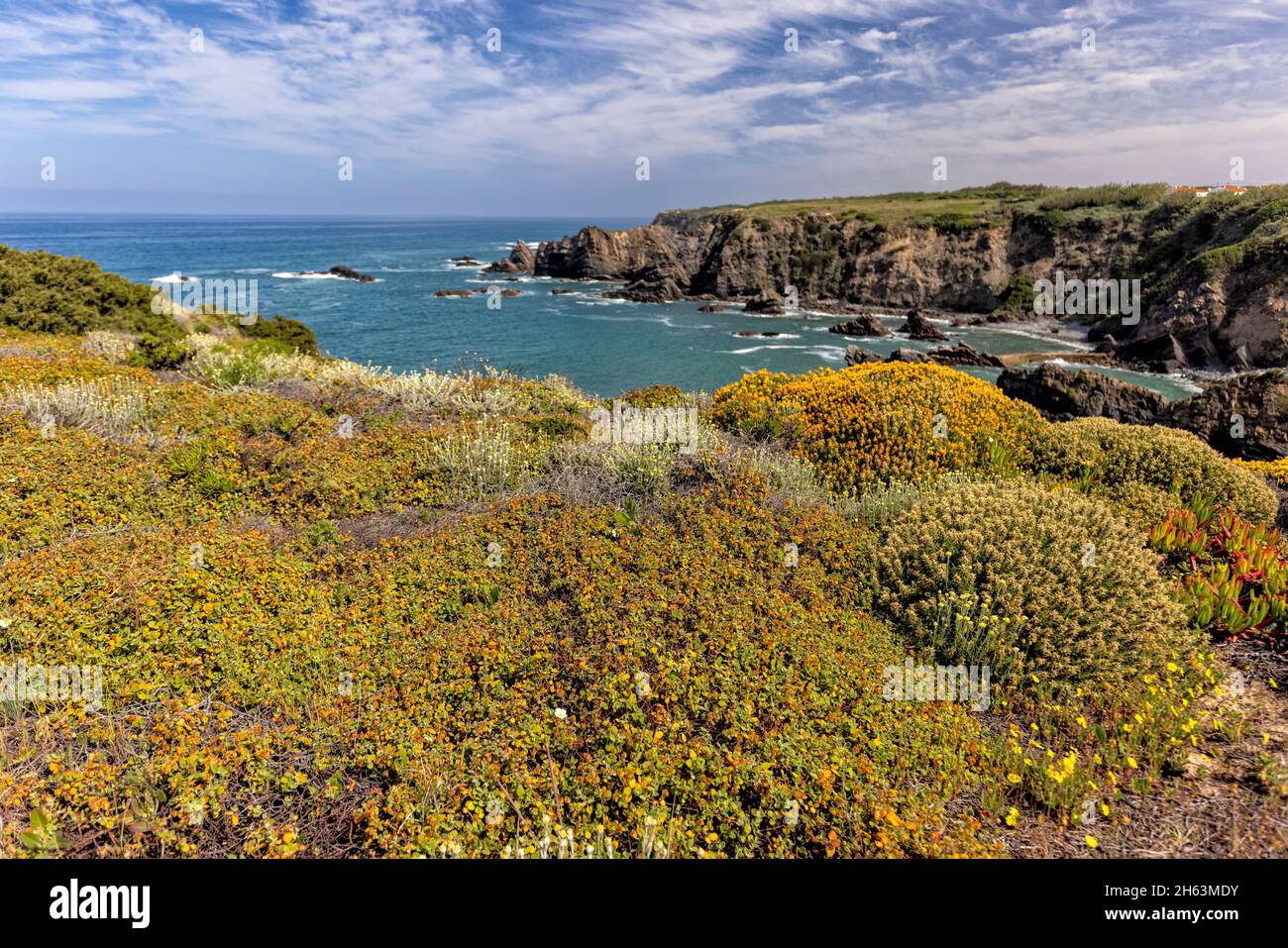 vista della costa atlantica del portogallo vicino ad aljezur in primavera Foto Stock