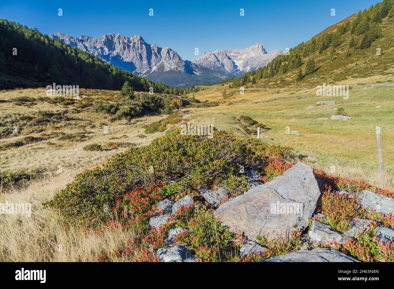 vista della vallorera al confine tra veneto e alto adige, sullo sfondo sesto dolomiti, italia Foto Stock
