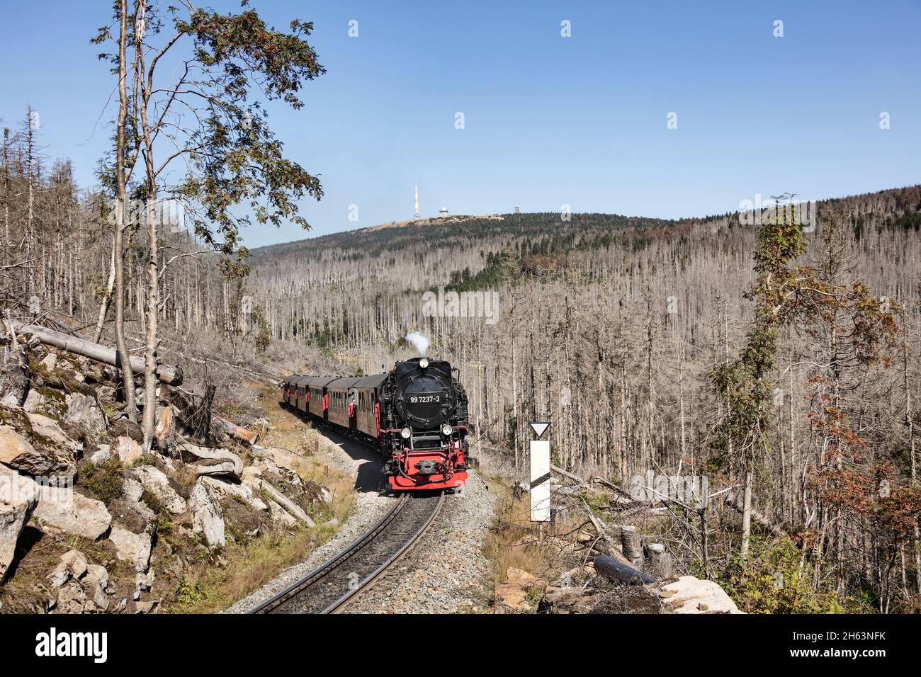 germania,sassonia-anhalt,brocken,wernigerode,schierke,treno passeggeri 8925,locomotiva a vapore,cima di brocken (sfondo),alberi morti Foto Stock