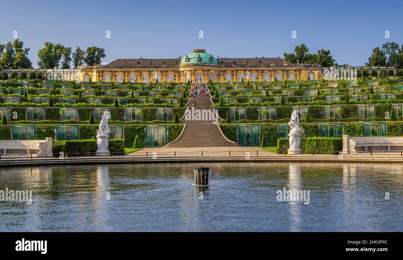 terrazze vigneto con palazzo sanssouci nei giardini del palazzo, potsdam, brandeburgo, germania Foto Stock