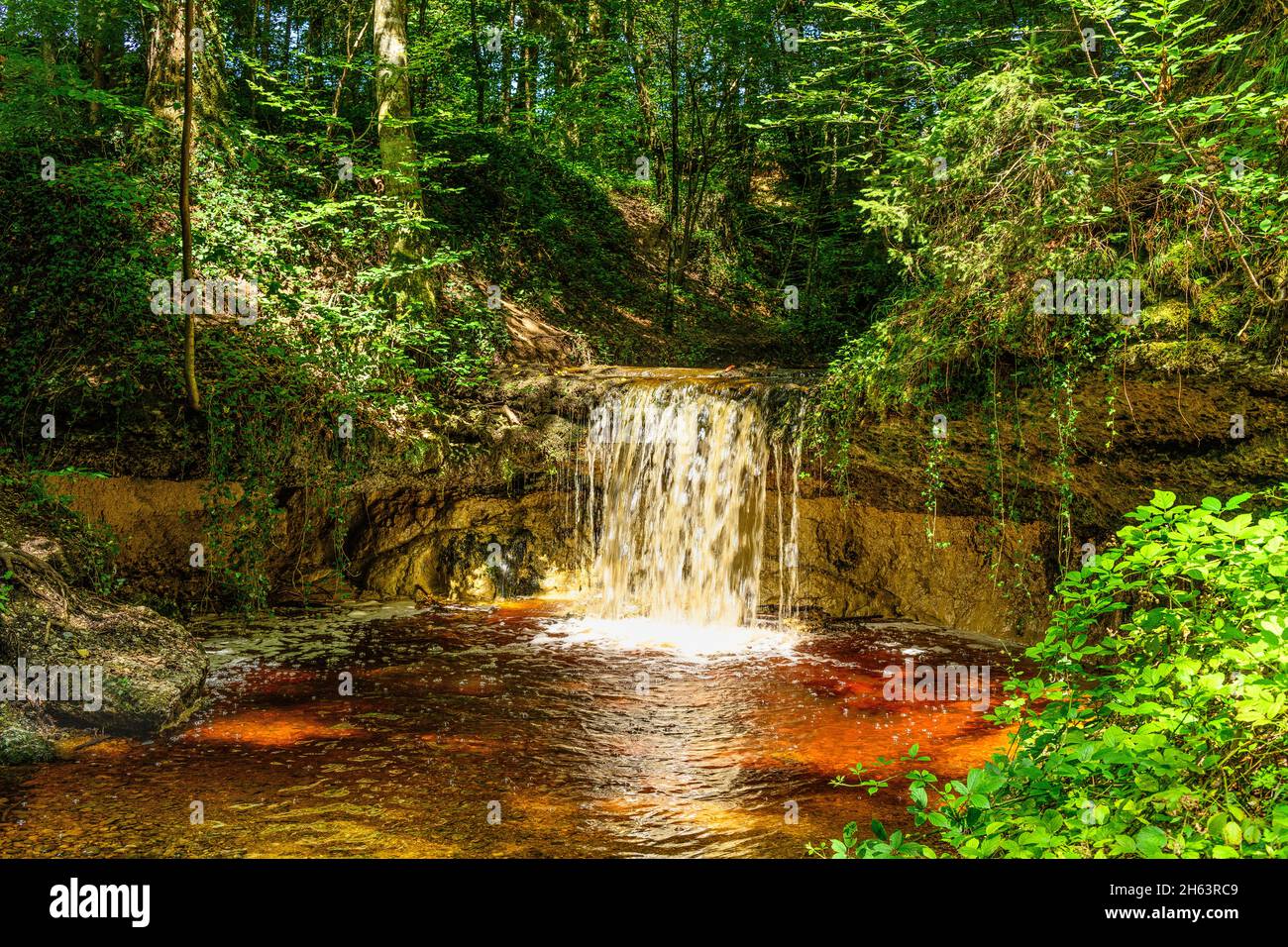 germania,baviera,alta baviera,distretto di ebersberg,grafing,distretto di straussdorf,schauerachgraben,cascata Foto Stock