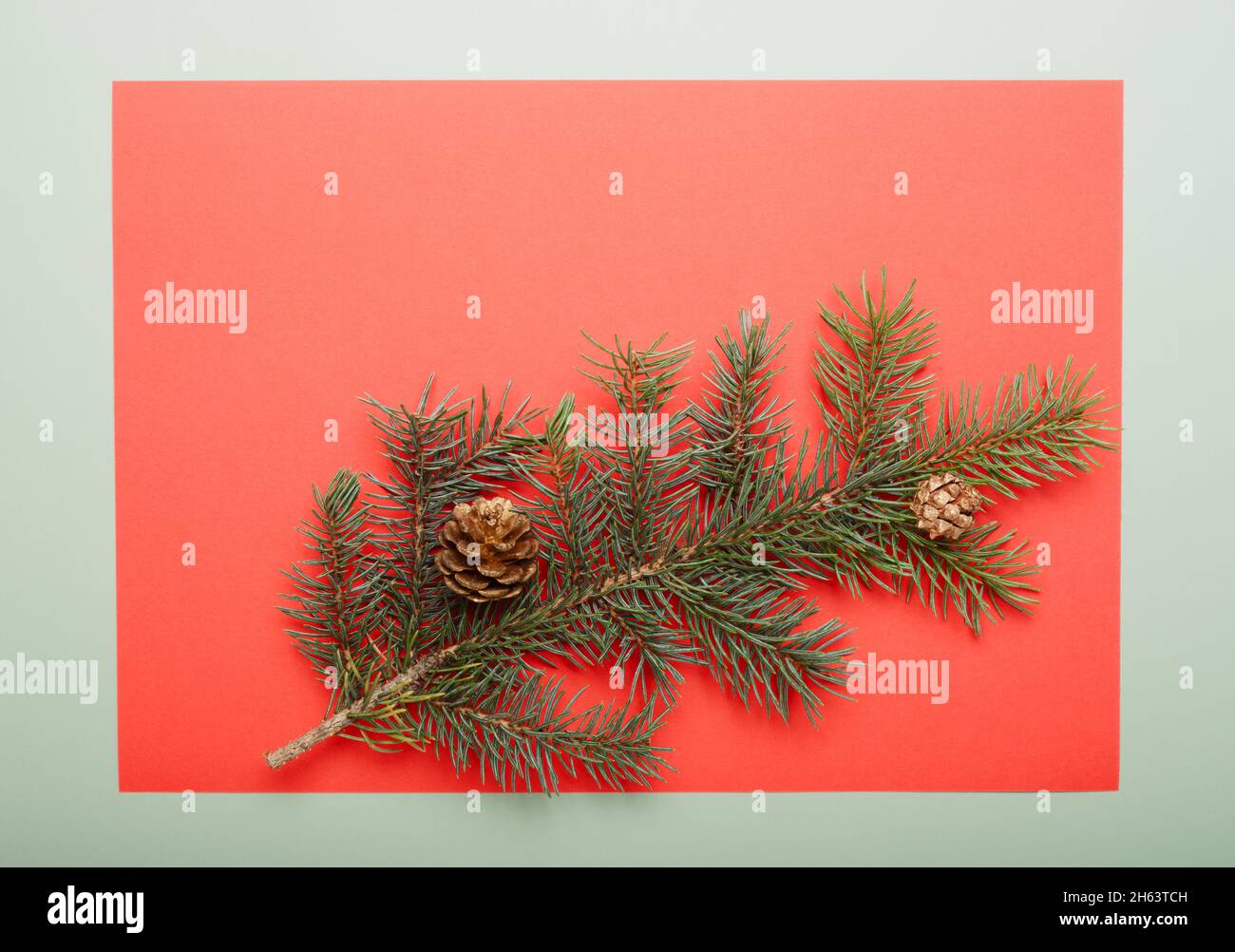 Sfondo cornice verde di Natale da ramo di pino con arredamento coni, primo piano. Foto Stock